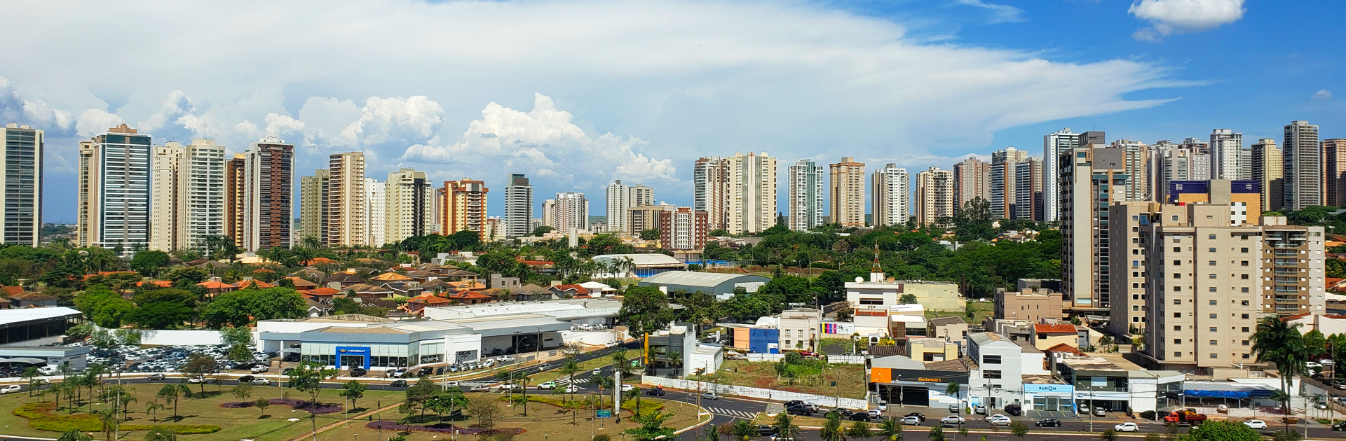Prefeitura Sem Papel: conheça os avanços na transformação digital de Ribeirão Preto em 2023